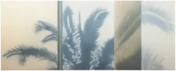 Preview «2015 palm 7»