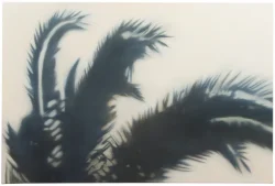 Preview «2015 palm 9 - wave»