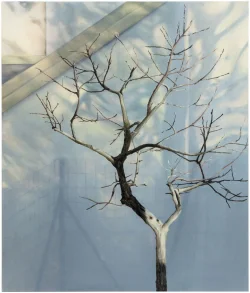 Preview «2017 tree 2»