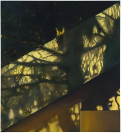 Preview «2017 yellow 3»