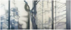 Preview «2017 venezia»