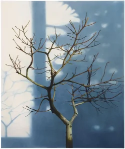 Preview «2018 tree 3»