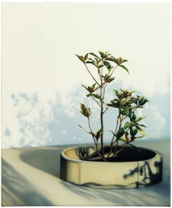 Preview «2023 magnolia»