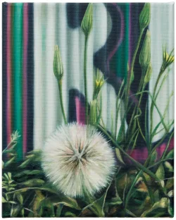 Preview «2024 dandelion»