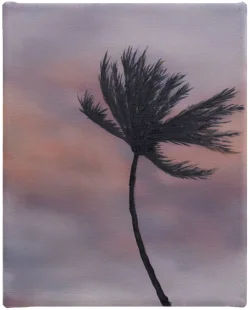 Preview «2024 palm 22 - helmhaus»