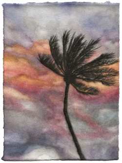 Preview «2024 palm 23»