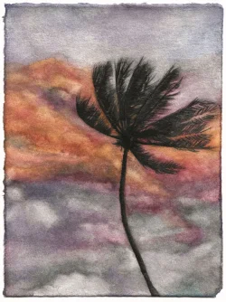Preview «2024 palm 24»