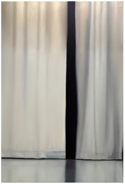 Preview «2024 curtain ZH tall»